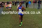 Boys Under-15s 2024 Northern Cross Country Champs., Sedgefield. Photo: David T. Hewitson/Sports for All Pics
